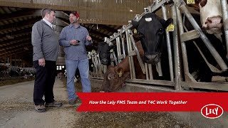 How the Lely FMS Team and T4C Work Together