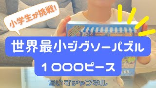 【ジグソーパズル】1000ピース初心者でもできるおすすめパズル／小学生が1000ピースにチャレンジ／世界最小ジグソーパズル／ディズニーキャラクター