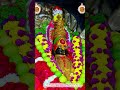 tuljapur tulja bhavani mata akkalkot tuljapur pandharpur gangapur temple darshan maharashtra