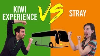 🥊 Kiwi Experience Vs Stray: Which Backpacker Bus to Travel New Zealand?