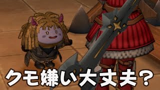 ドラクエ10 クエストVer 5.2 4話 最終話「クモ嫌い大丈夫？」2アカ攻略 DQ10