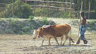 কুড়িগ্রামের দাঁতভাঙ্গা ইউনিয়ন