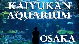 Japan Part 1- Osaka Kaiyukan Aquarium