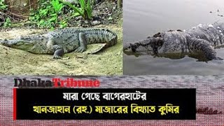 মারা গেছে বাগেরহাটের খানজাহান (রহ.) মাজারের বিখ্যাত কুমির | Dhaka Tribune