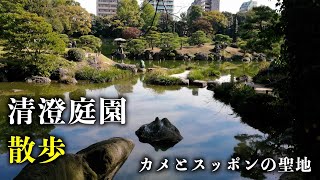 池散歩【清澄庭園】カメとスッポンが優雅に泳ぐ庭園