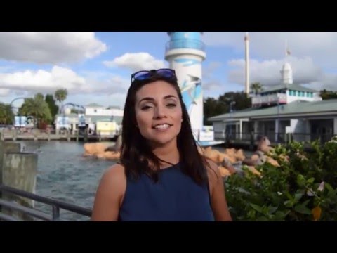 Expert tips for visiting SeaWorld Orlando