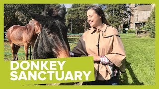 This Woman Saved a Donkey and her Foal from Death