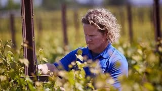 Virtual Tasting with Joe Freeman, winemaker at River Road Family Vineyards and Winery
