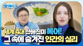 [해수토리] 불확실한 것에 끌리는 이유는? 복어의 비밀: 위험을 즐기는 미식가들!🐡