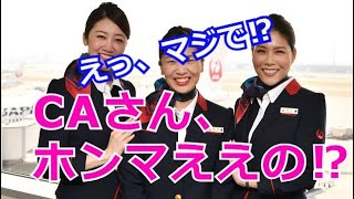 CAさん、ホンマええの⁉   日本航空JAL 客室乗務員（CA）さんの「やさしさ」に触れられた！  JAPAN AIRLINES  flight attendant  大阪国際空港・伊丹