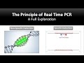 The principle of Real Time PCR, Reverse Transcription, quantitative rt-PCR