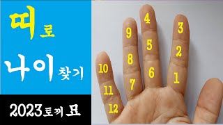 띠로 나이 , 연도, 갑자 찾기 , 손가락 사용ㅡ 우프 선생 2023. 3. 1