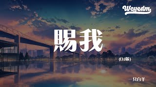 一只白羊 - 赐我 (DJ版)「怎么你又匆匆地离开 赐我一场痛快」【動態歌詞/pīn yīn gē cí】#一只白羊 #赐我 #動態歌詞