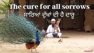 The Cure For All Sorrow (ਸਾਰਿਆਂ ਦੁੱਖਾਂ ਦੀ ਹੈ ਦਾਰੂ) - Sant Baba Darshan Singh Ji Tapoban Dhakki Sahib