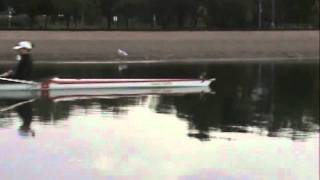 TSC Masters Women's Rowing - 3