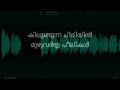 Vellichillum Vithari - HD Karaoke