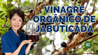 VINAGRE ORGÂNICO  DE JABUTICABA - Como Fazer e Benefícios