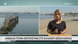 Ακέφαλο πτώμα εντοπίστηκε στο Καλοχώρι της Θεσσαλονίκης  | Αταίριαστοι | 20/06/2022