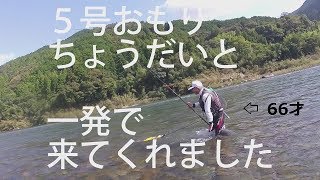 [つりよか] 仁淀川黒瀬 解禁日か？見間違えるほどの多くの釣り師 Too many Japanese (Ayu) people in Kurose Niyodo (Strange)