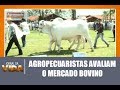 Agropecuaristas avaliam o mercado bovino - Jornal da Vida 121017