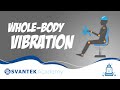 Whole body vibration (WBV) | SVANTEK Academy