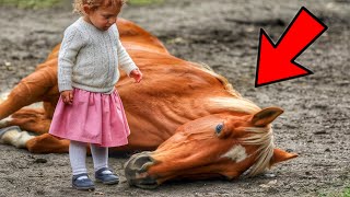 A paralyzed horse was due to be put down until a 6-year-old girl discovered something amazing.