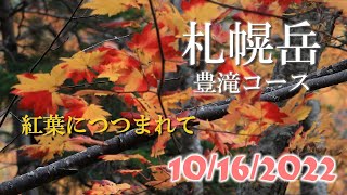 紅葉につつまれて...秋の札幌岳（豊滝コース）2022年10月16日