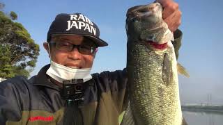 [Gono Pond] Kasumigaura water-based bass fishing at the top May 20, 2022