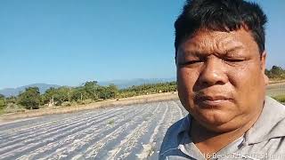 Indian aro Buttain border area ni Ta,a Bagan