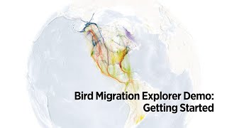 Bird Migration Explorer Demo: Getting Started