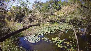 San Antonio Texas fishing at South Side lion's park