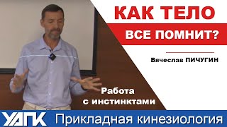 Как влияют инстинкты (Вячеслав Пичугин)