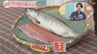 ５きげん知恵袋 ～鮭～