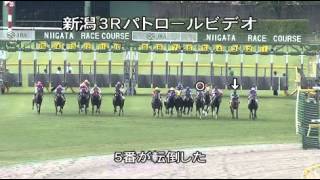 2013年10月6日（土） 新潟3R 3歳以上500万下 パトロールビデオ