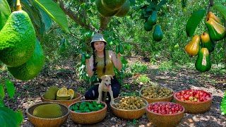 Harvest: Longan, Plums, Avocados, Jackfruit To Sell At The Market, Cook, And Garden.