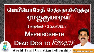 Mephibosheth - Dead Dog to Royalty | மெபிபொசேத்  செத்த நாயிலிருந்து ராஜகுமாரன் 2 Samuel 9 #WCFLondon