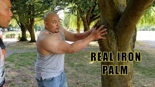 How to turn your hand into Real iron Palm part 2 - Master Wong