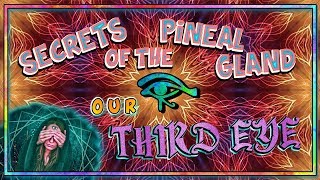 What is the Pineal Gland (Our Third-Eye) and Why is it Important ¿?