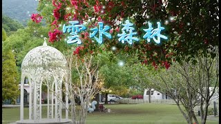 雲水森林(2) - (南庄雲水度假森林 2024.12.17)