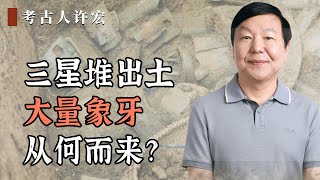 三星堆出土的大量象牙从何而来？