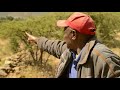 a stunning success story how ethiopians turn the desert into fertile land