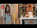 aparición de la santísima virgen maría en lourdes. sermón del padre jorge gómez fsspx