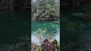 😍Gold Creek, Maple Ridge #naturesounds #shorts🌿#mytrails #hiking #mountains #góry #rzeka