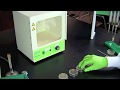 How To Perform a Bacterial Transformation