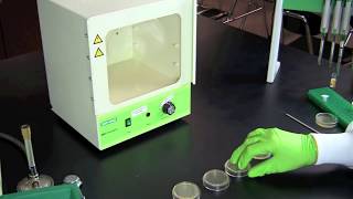How To Perform a Bacterial Transformation