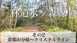 Mizugamori Forest Road in Yamanashi City with Jeep Renegade Part 2