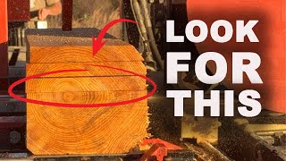 Use These INCREDIBLE Homemade Lumber SECRETS