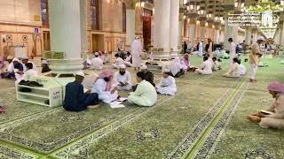 لقطات من حلقات تحفيظ القرآن أقيمت في مسجد رسول الله ﷺ