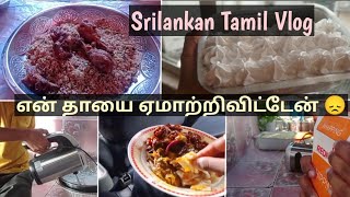 நான் இதை எதிர்ப்பார்க்கவில்லை | Srilankan Tamil Vlog | Colombo Sister's Diary