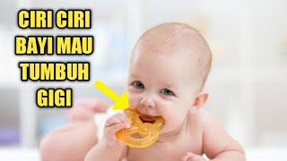 Wajib Tahu, Inilah Ciri-ciri Bayi Mau Tumbuh Gigi